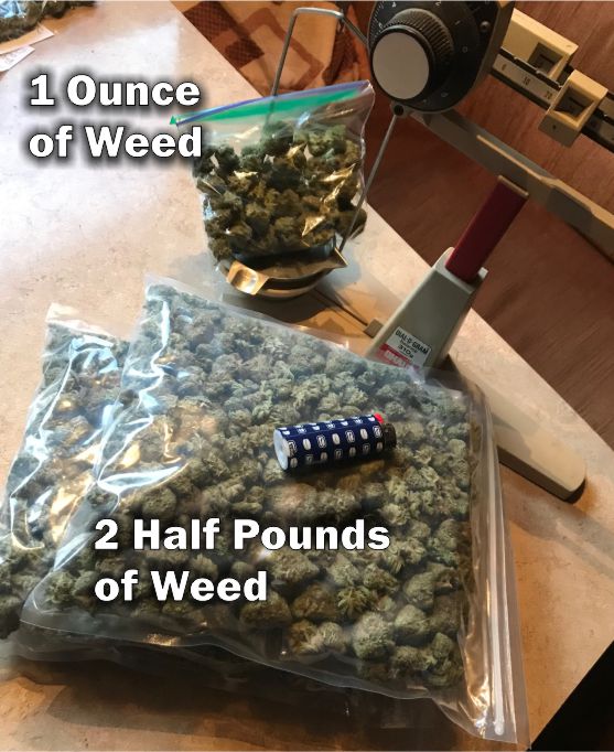 One pound of weed visual representation 