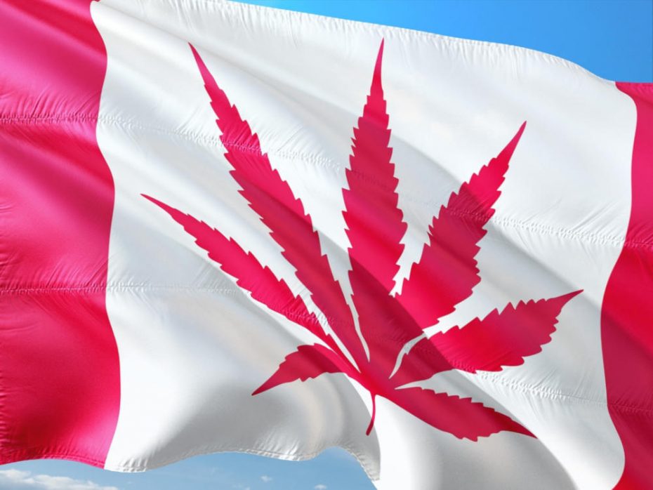 Quality Assurance Standards in the Canadian Cannabis Industry