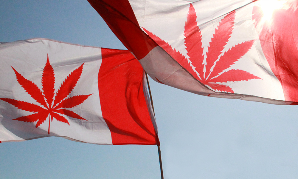 Understanding Provincial Regulations in the Canadian Cannabis Industry