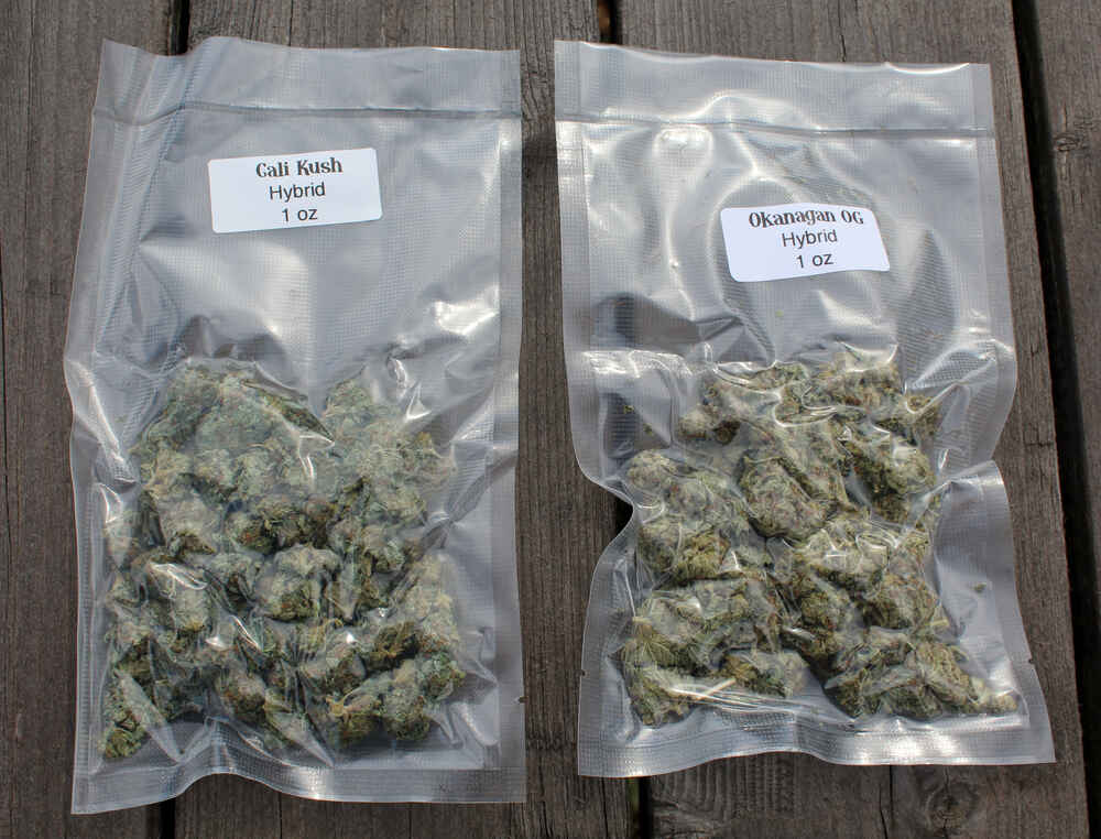 Using Vacuum-Sealed Plastic for Cannabis Storage