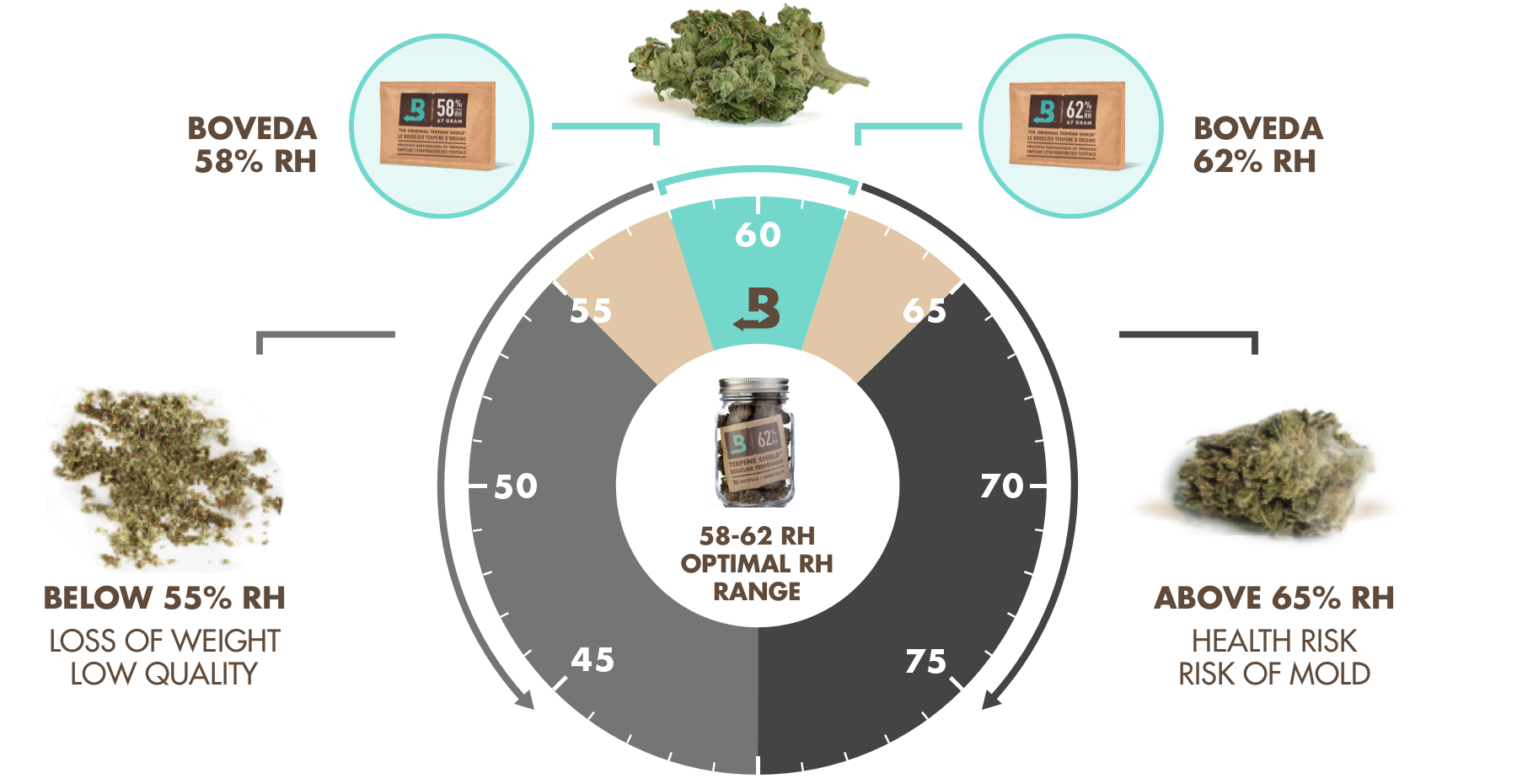 Info-graphic of Humidity Packs for Best Weed Storage Results 