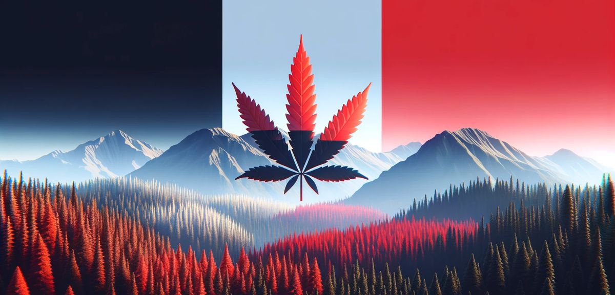Inside Canada's Red Market: Indigenous-Led Cannabis Trade