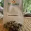 BulkWeedInbox Craft Cannabis Review