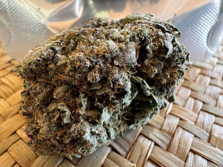 Death Tuna Strain Review Bulkweedinbox