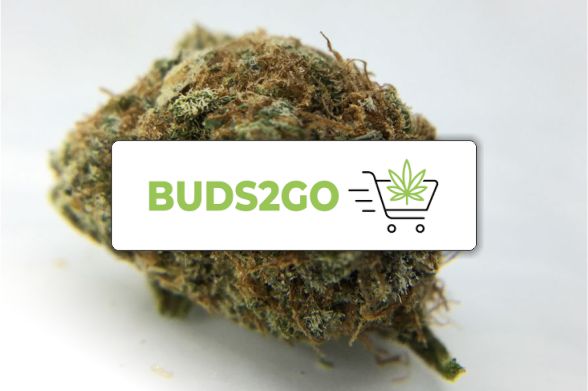 BUDS2GO